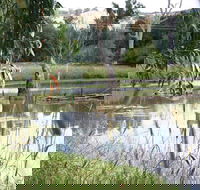 Tumut Wetlands - Accommodation Gold Coast