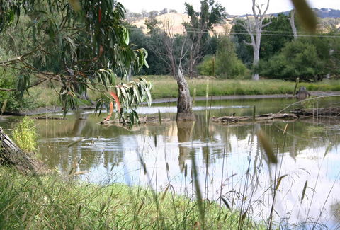 Tumut Wetlands - Accommodation Gold Coast 0