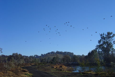 Tumut Wetlands - Accommodation Gold Coast 1