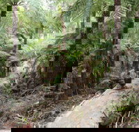 Upper Yarra Reservoir Park - Accommodation Gold Coast