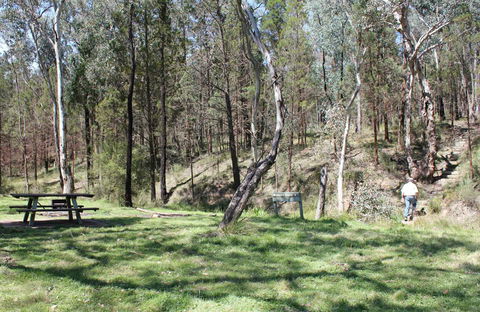 Wallaby Walking Track - Accommodation Gold Coast 0
