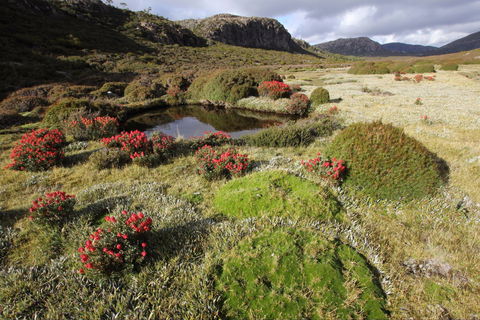 Walls Of Jerusalem National Park - 1 Gold Coast 1