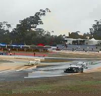 Winton Motor Raceway - Accommodation Gold Coast