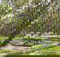 Wollomombi Gorge and Falls Picnic Area - Accommodation Gold Coast