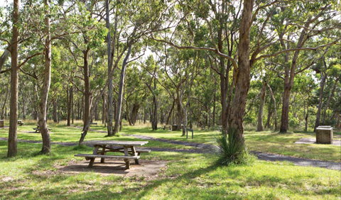 Wollomombi Gorge And Falls Picnic Area - 1 Gold Coast 0