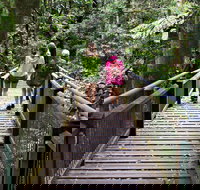 Wonga Walk - Accommodation Gold Coast