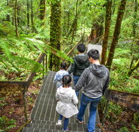 Yarra Ranges National Park - Accommodation Gold Coast