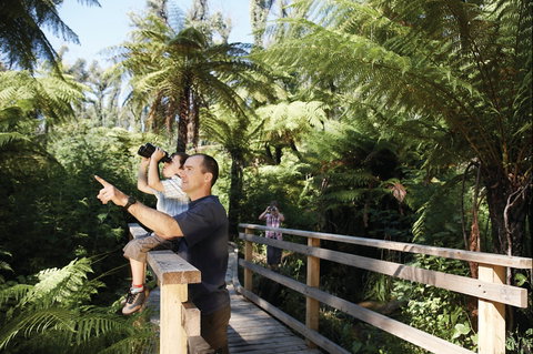 Yarra Ranges National Park - Accommodation Gold Coast 1