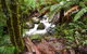Yarra Ranges National Park - thumb 2