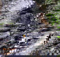 Full-Day Canyoning Experience at Stunning Empress Canyon - Accommodation Gold Coast