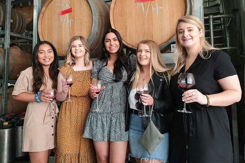 Hunter Valley Wine Tour From The Hunter With Wine Craft Beer Cheese Chocolate - Accommodation Gold Coast 1