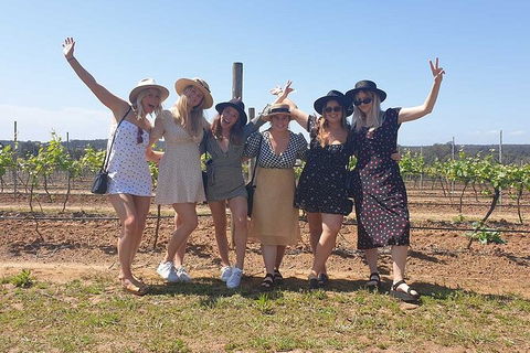 Hunter Valley Wine Tour From The Hunter With Wine Craft Beer Cheese Chocolate - Accommodation Gold Coast 10