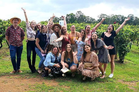 Hunter Valley Wine Tour From The Hunter With Wine Craft Beer Cheese Chocolate - Accommodation Gold Coast 6