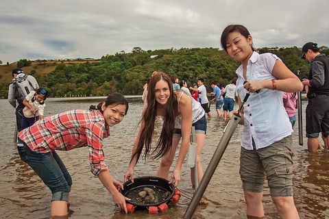Catch A Crab Tour With Optional Seafood Lunch - Accommodation Gold Coast 6