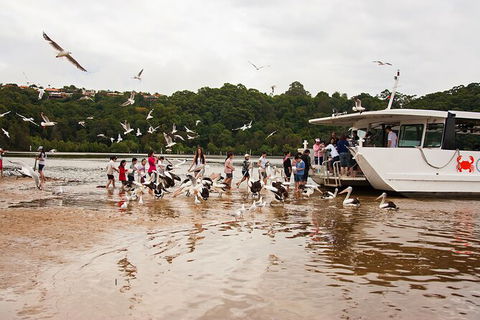 Catch A Crab Tour With Optional Seafood Lunch - Accommodation Gold Coast 1