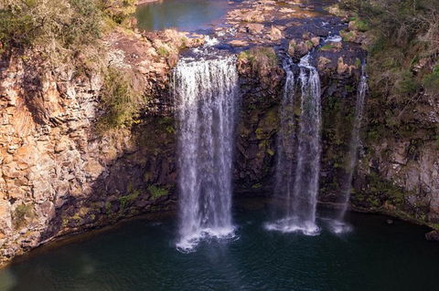 Rainforest & Waterfall Experience - Gold Coast 4U 1