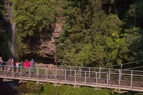 Rainforest & Waterfall Experience - Gold Coast 4U 4