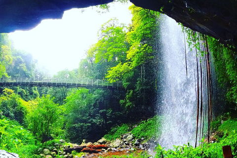 Rainforest & Waterfall Experience - Gold Coast 4U 6