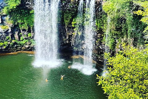 Rainforest & Waterfall Experience - Gold Coast 4U 2