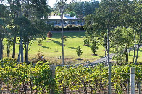 Tulloch Wines - Wine Tasting Paired With Local Handmade Chocolates - Accommodation Gold Coast 4