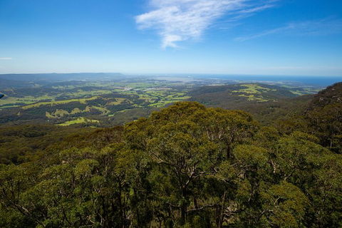 Illawarra Fly Treetop Adventures Treetop Walk Admission Ticket - Accommodation Gold Coast 6