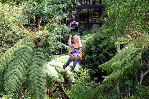 Illawarra Fly Treetop Adventures Treetop Walk Admission Ticket - Accommodation Gold Coast 2