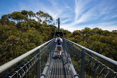 Illawarra Fly Treetop Adventures Treetop Walk Admission Ticket - Accommodation Gold Coast 0