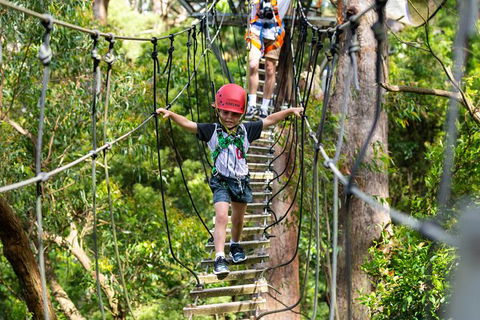 Illawarra Fly Treetop Adventures Treetop Walk Admission Ticket - Accommodation Gold Coast 3