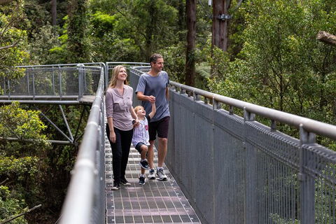 Illawarra Fly Treetop Adventures Treetop Walk Admission Ticket - Accommodation Gold Coast 1