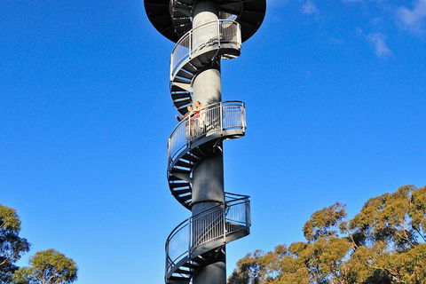 Illawarra Fly Treetop Adventures Treetop Walk Admission Ticket - Accommodation Gold Coast 5