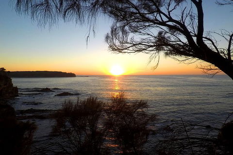 Batemans Bay Overnight Kayak Camping Tour - All Inclusive - Gold Coast 4U 1