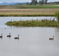 Beardy Waters Dam and Woodlands - Accommodation Gold Coast