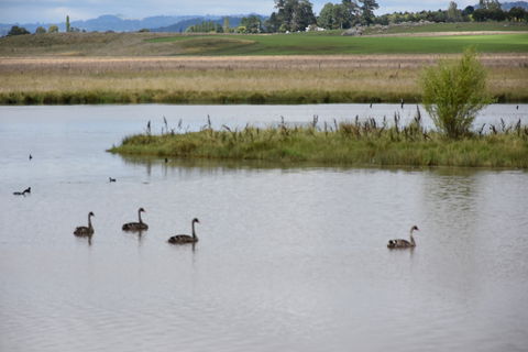 Beardy Waters Dam And Woodlands - 1 Gold Coast 0