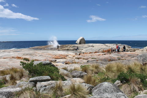 Bicheno Blowhole - Accommodation Gold Coast 1