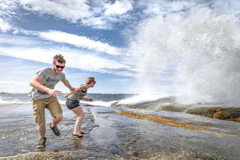 Bicheno Blowhole - Accommodation Gold Coast 2