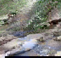 Bomaderry Creek Regional Park - 1 Gold Coast