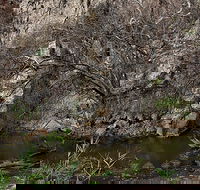 Brisbane Ranges National Park - Accommodation Gold Coast