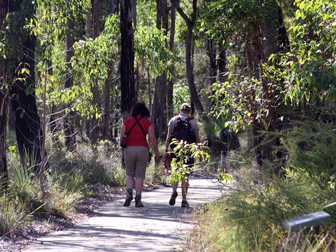 Forest Path, Crooked Brook - 1 Gold Coast 0