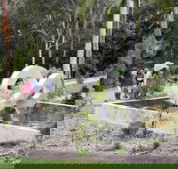 Maroochy Regional Bushland Botanic Garden - Accommodation Gold Coast