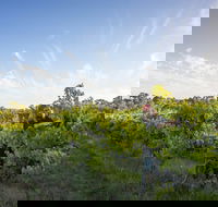 Mclaren Vale - Accommodation Gold Coast
