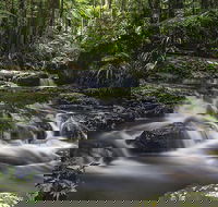 Protesters Falls Walking Track - Accommodation Gold Coast