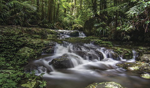 Protesters Falls Walking Track - Accommodation Gold Coast 0