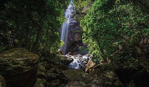 Protesters Falls Walking Track - Accommodation Gold Coast 1