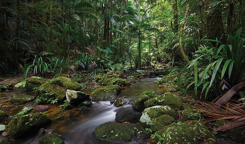 Protesters Falls Walking Track - Accommodation Gold Coast 2