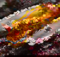 Wolf Rock Dive Site - Accommodation Gold Coast