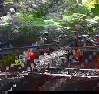 Glow Worm Tunnel Hike - Accommodation Gold Coast