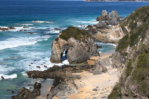 Narooma And Tilba Valley Private Tour - Accommodation Gold Coast 8