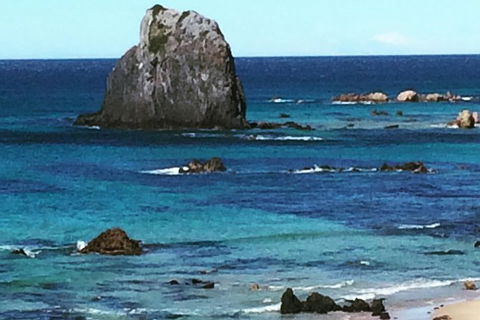 Narooma And Tilba Valley Private Tour - Accommodation Gold Coast 9