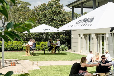 Tulloch Wines- Mystery Wine Tasting Experience With Local Cheese And Charcuterie - Accommodation Gold Coast 5