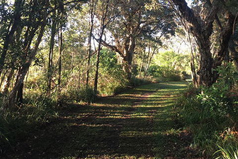 Coffs Harbour To Sawtell Bike Ride - Gold Coast 4U 7